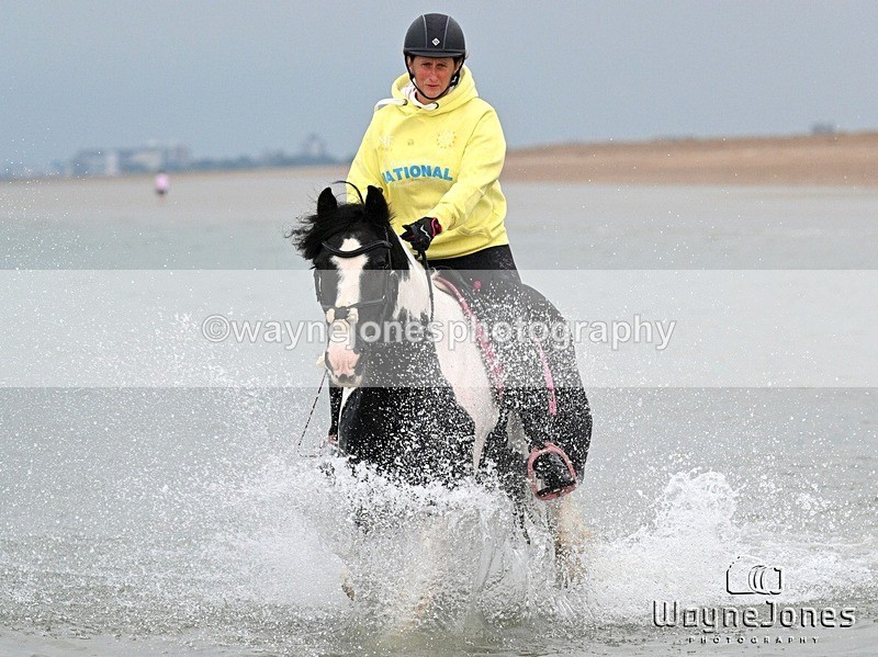 WJ7_8929 - Hayling Island Beach Shoot 22-09-24