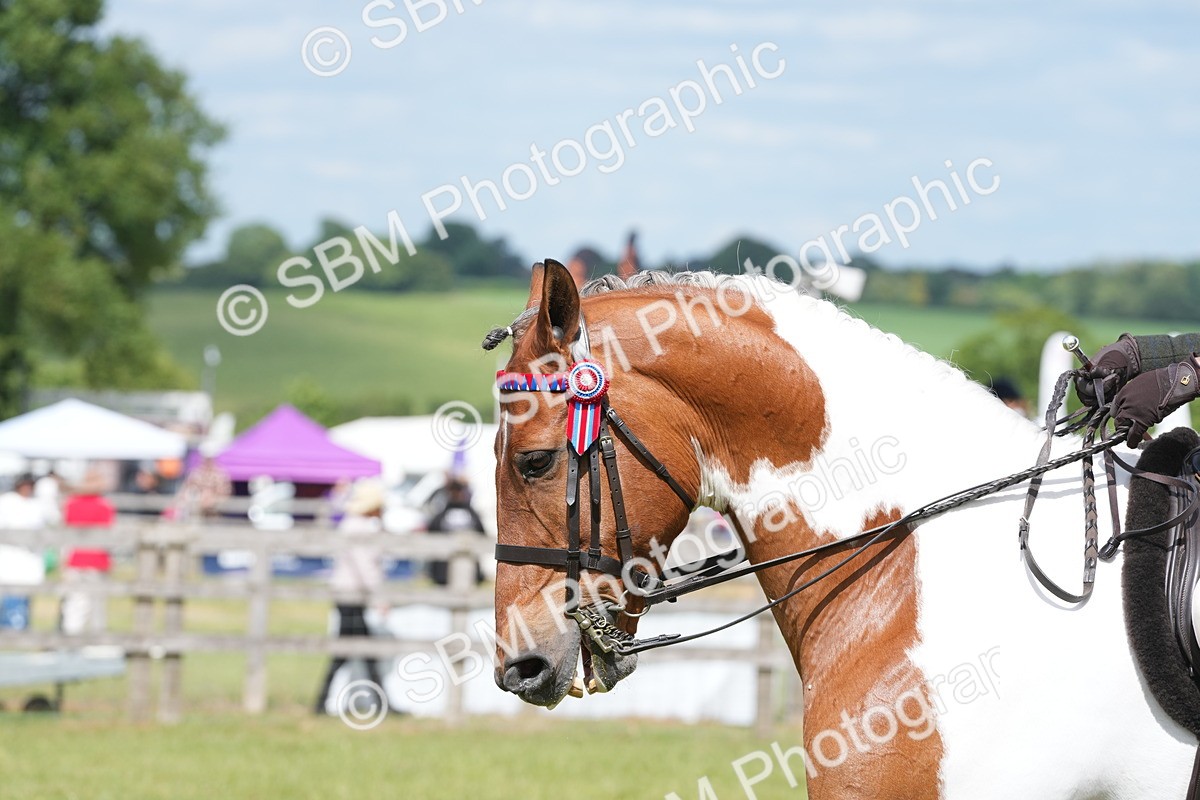 SBM_17607 - Class 107-108 - LIHS BSPS Performance Coloured Horse Pony