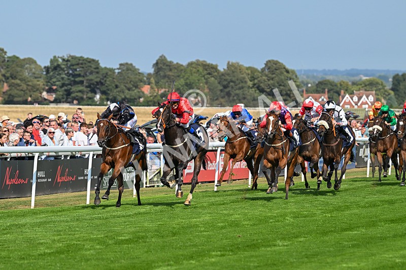 240825-Race 4-Lady Hornblower-2966 - Race 4