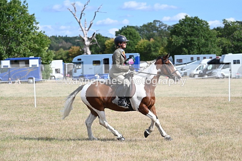 WJ7_7421 - Class 14 Ridden Coloured