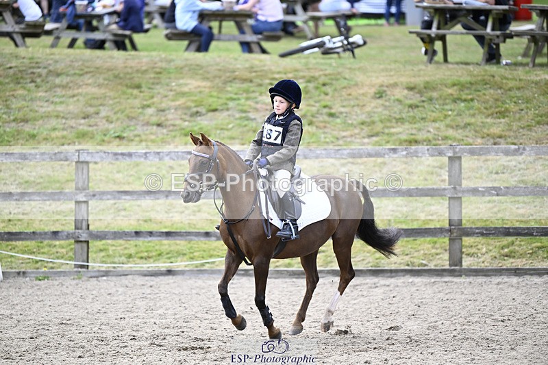 240822X-152647-11784 - 40cm A R2 15.00 to 16.16