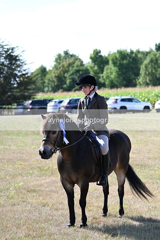 WJ7_3213 - Class 8 Ridden Tack & Turnout