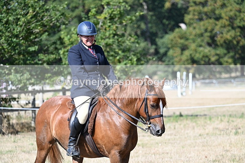 WJ7_3497 - Class 9 Mountain & Moorland Ridden
