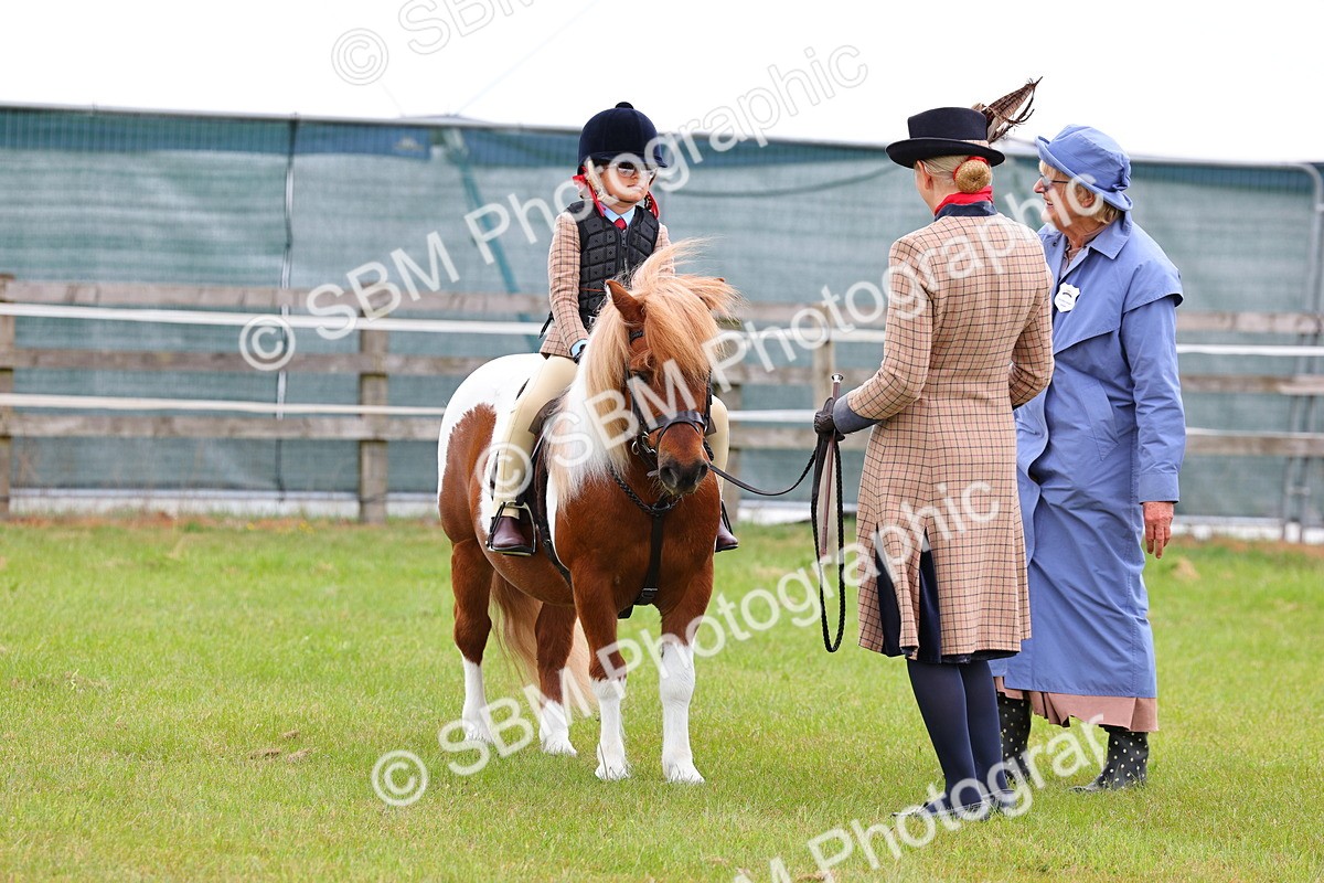 SBM_08219 - Class 42-43 - LIHS BSPS Heritage Working Sports Pony