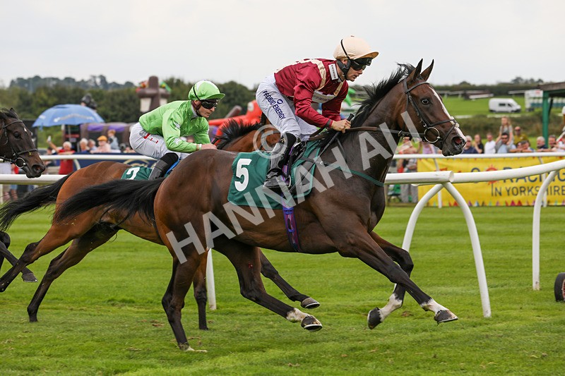 240724-Race 1-Easy Peeler-3227 - Race 1