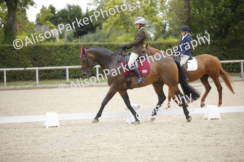 20260913-0224 - Class 3 - Novice 5