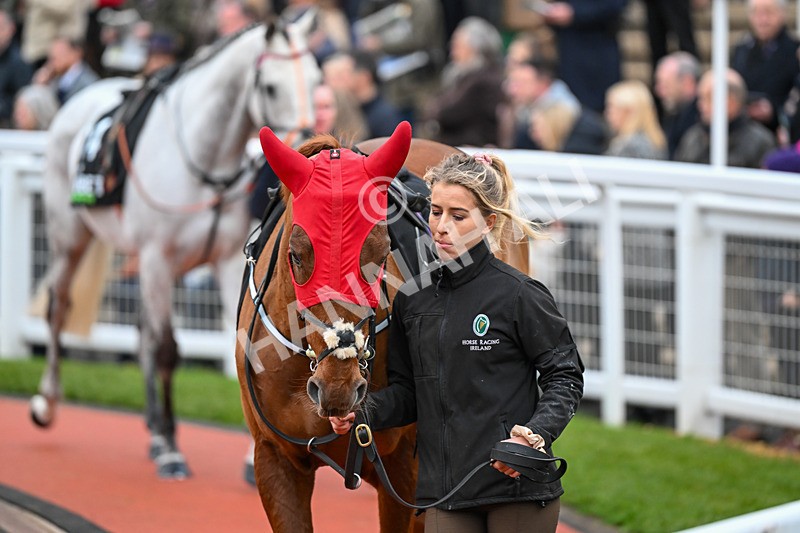 171124-Race 5-Paddock-Toll Stone-3783