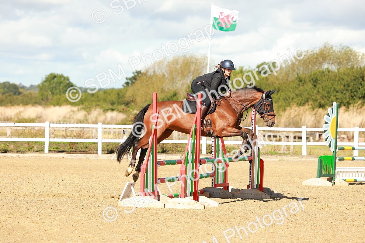 SBM_000517 - Class 2 - Senior British Novice - 90cm