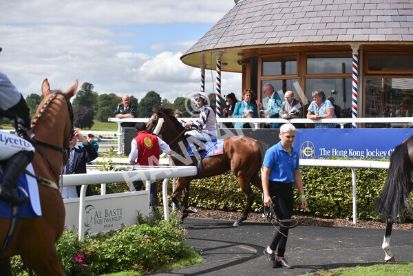 yr19082022r1-13 - Race 1 1.50pm Sky Bet Stakes