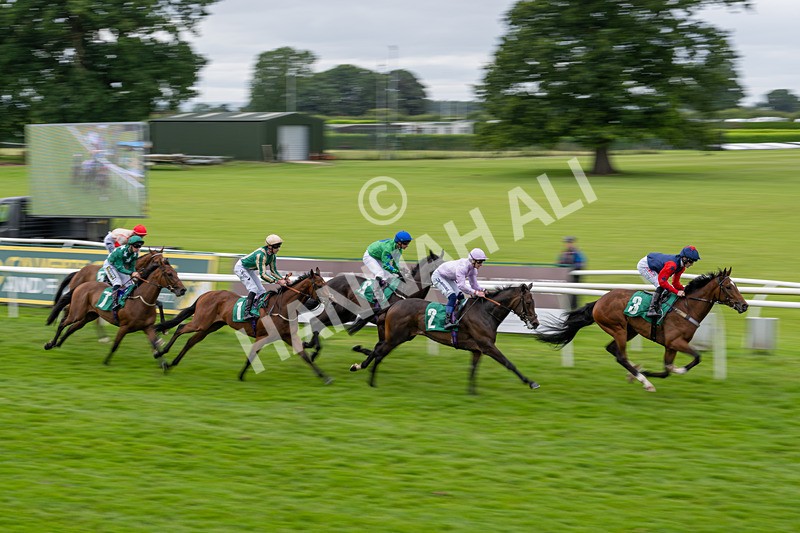 030724-Race 2-The Crafty Mole-0452 - Race 2