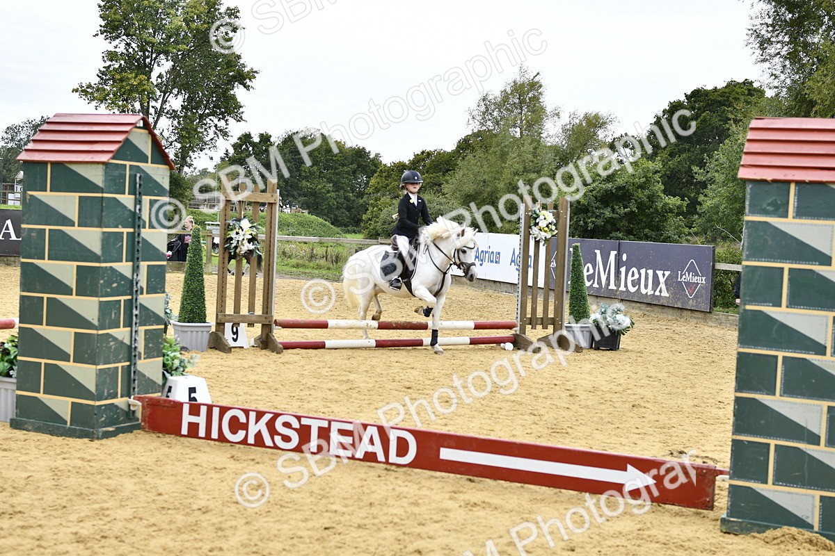 SBM_65411 - J2a mini Tour Junior Pony 30cm Championship