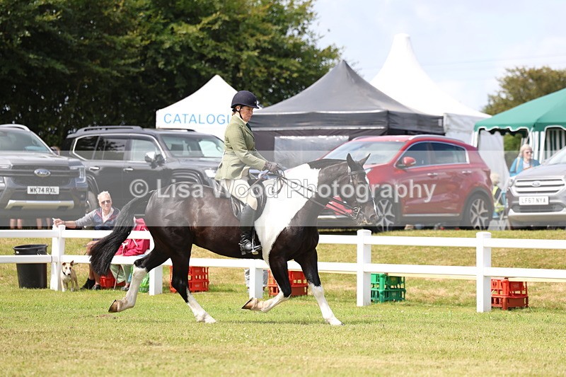 3E7A0153 - Class 6: Rising Star Maxi Cobs