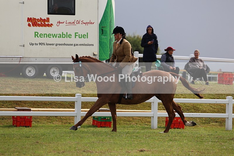 3E7A8113 - Class 2: Rising Star Large Hack/Riding Horse