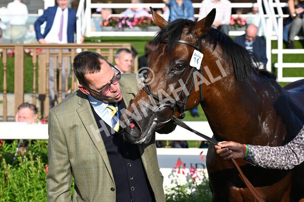 yr08102021r4-49 - Race 4 3.50pm Casumo Dare To be Different Handicap