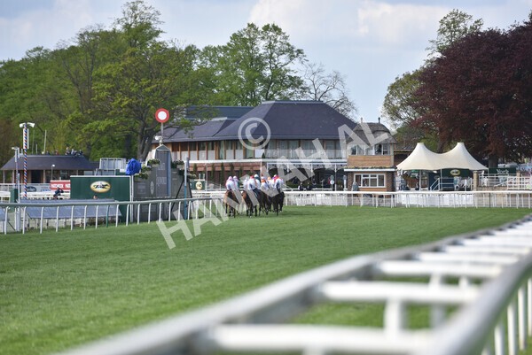 yr13052021r7-10 - Race 7 4.50pm Autohorn Stakes