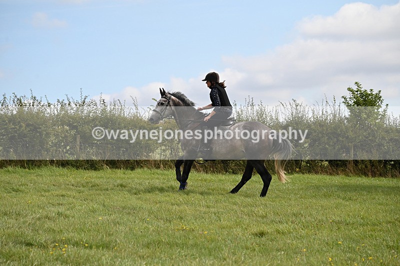 WJ6_7854 - Time 11:45 to 11:58