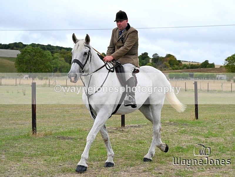 WJ7_0645 - Berks & Bucks Hound Exercise Blewbury 13-09-26