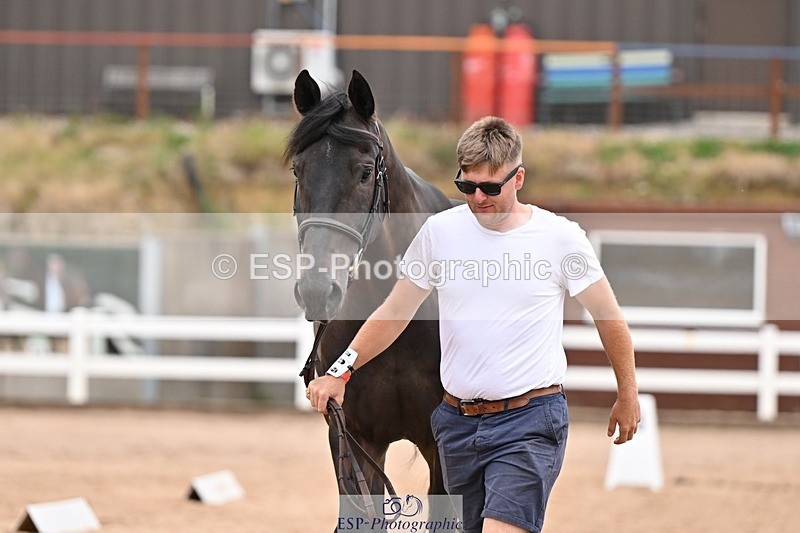 250716-160025-02334 - Trot Up 3.30 to 4.30