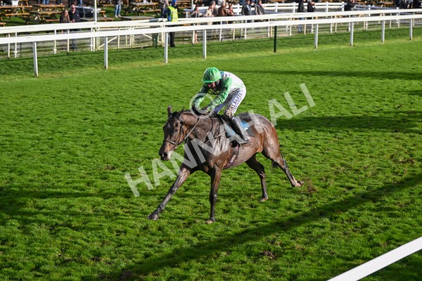 121024-Race 6-Gibside-3437 - Race 6 4.30pm Coral We're Here For It Stayers Handicap
