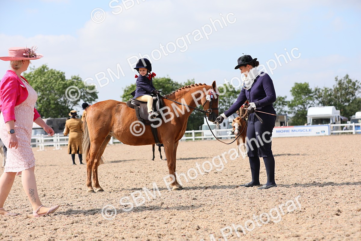 SBM_13994 - Class 309 Lead Rein Pony