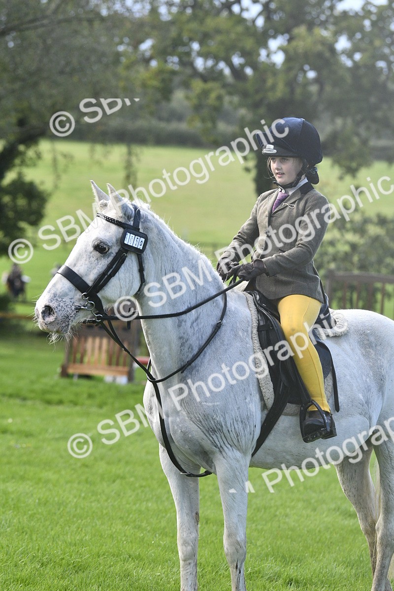 SBM_37203 - S31 - Novice & Newcomer Working Hunter Pony