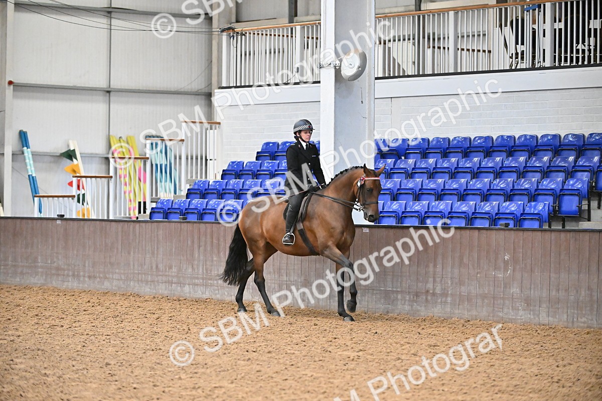 SBM_002347 - Class 22 - BSHA Ridden Hack & Riding Horse