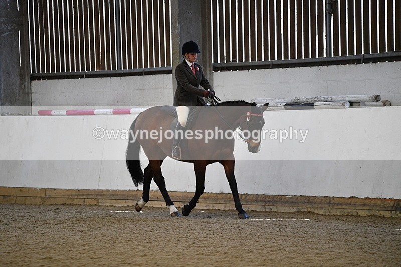 WJ5_5944 - Class 9 Ridden Veteran