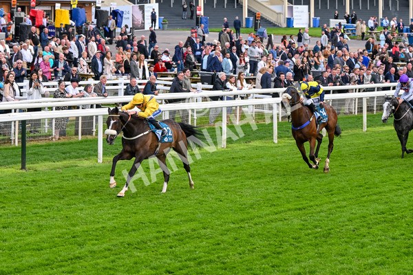 150524-Race 7-Dancing In Paris-4723 - Race 7 5.20pm Stuey Weston & Friends Getting Out Handicap