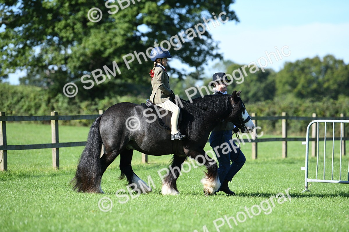 SBM_36726 - S18 - Novice & Newcomers Lead Rein Pony