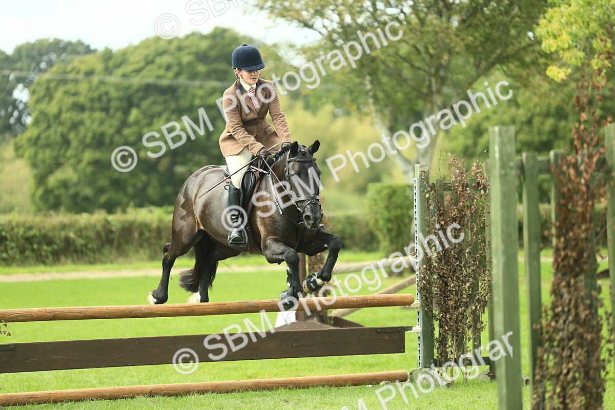 SBM_44780 - S31 - Working Hunter Pony
