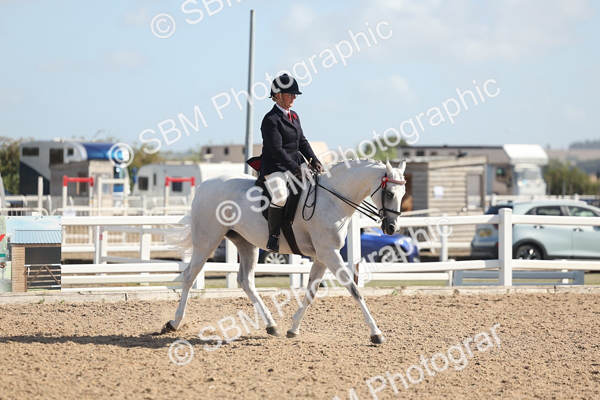 SBM_22670 - Class 805 - Ridden Veteran Horse