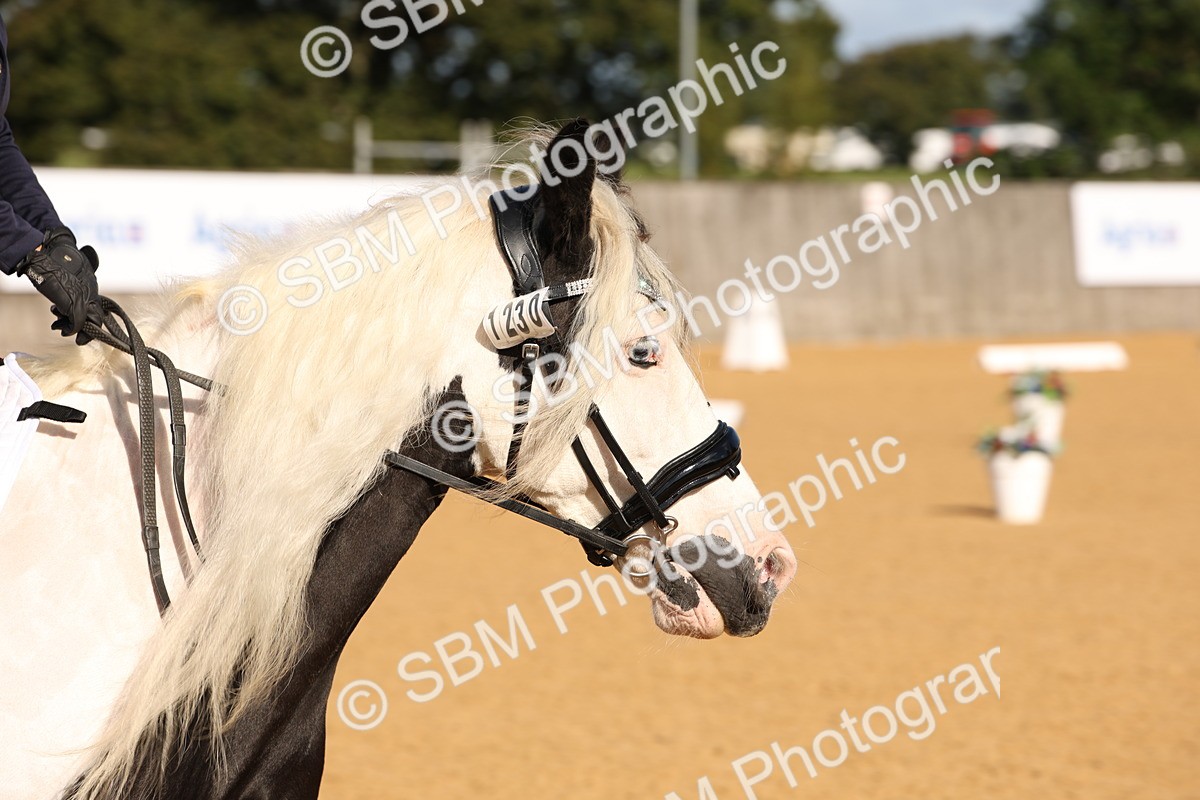 SBM_01945 - D2 Small Tour Championship Intro C