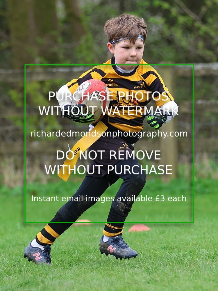 533A5481 - Kendal Rugby Under 7's (12/4/26)