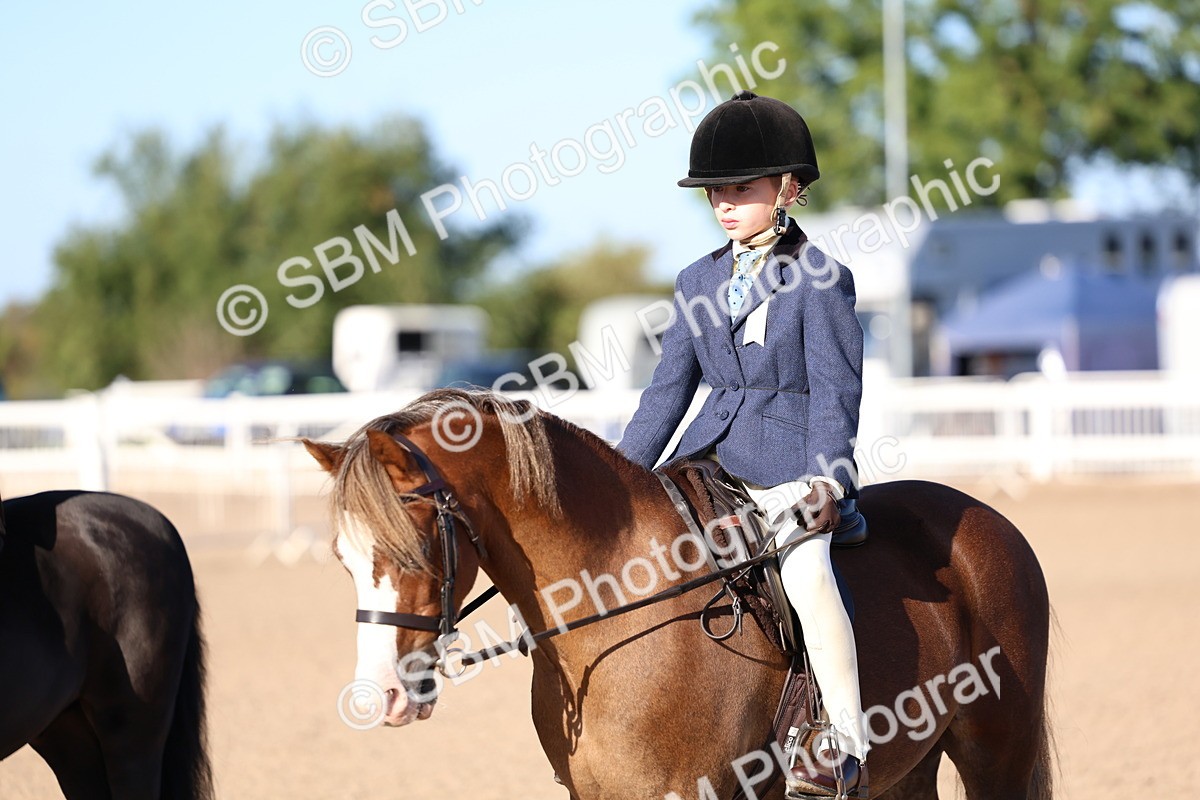 SBM_07859 - Class 301 - Ridden M&M - Small Breeds