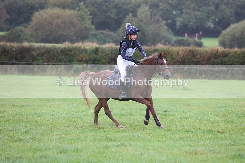 JPP_5152 - Class 1: 65cm : Showjumping