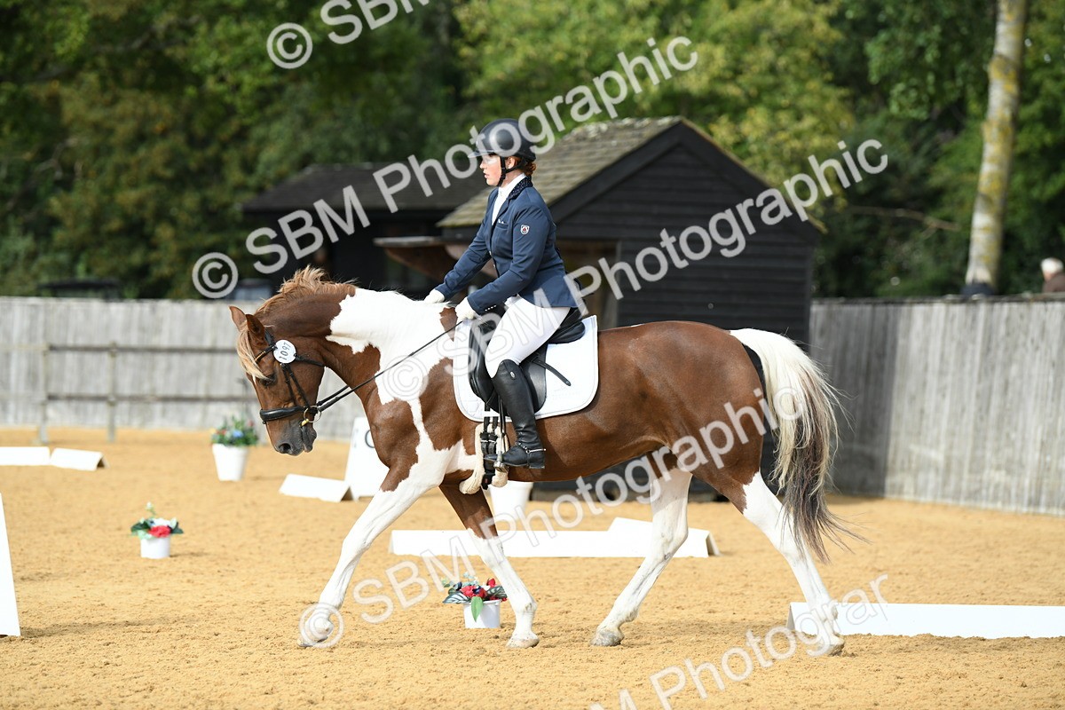 SBM_11040 - D28 Elementary Taster Elementary 42