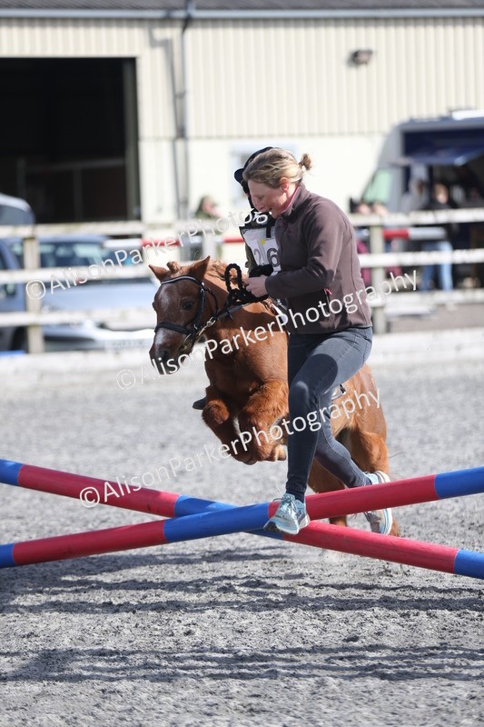 20260412-0070 - Show Jumping