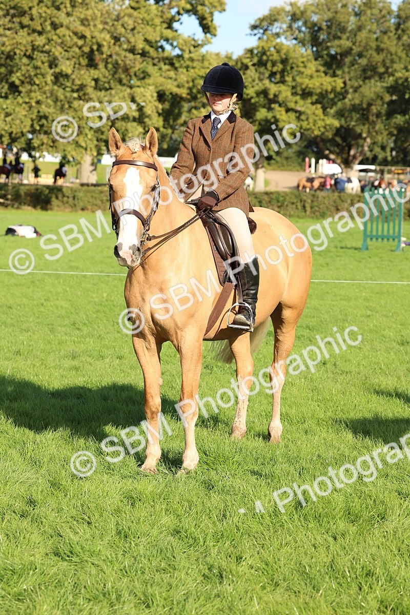 SBM_50168 - S34 - Novice & Newcomers Working Hunter