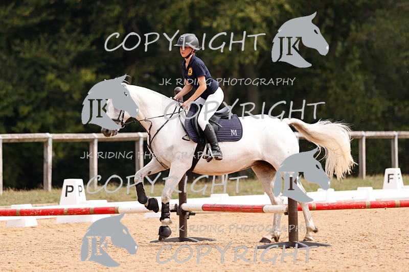_R6A2450 - Dressage Morning