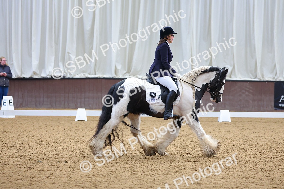 1I0A8813 - Class 4 - Novice 4