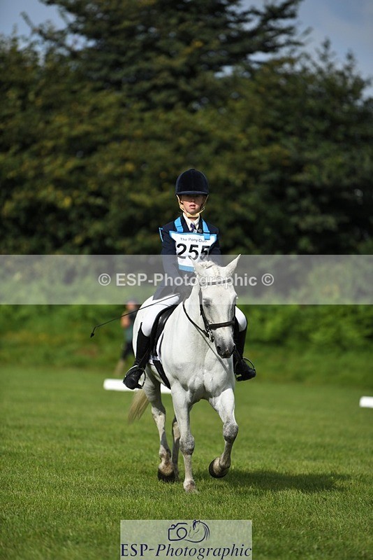 230826-093602-15161 - Sections C & D 9 to 10am