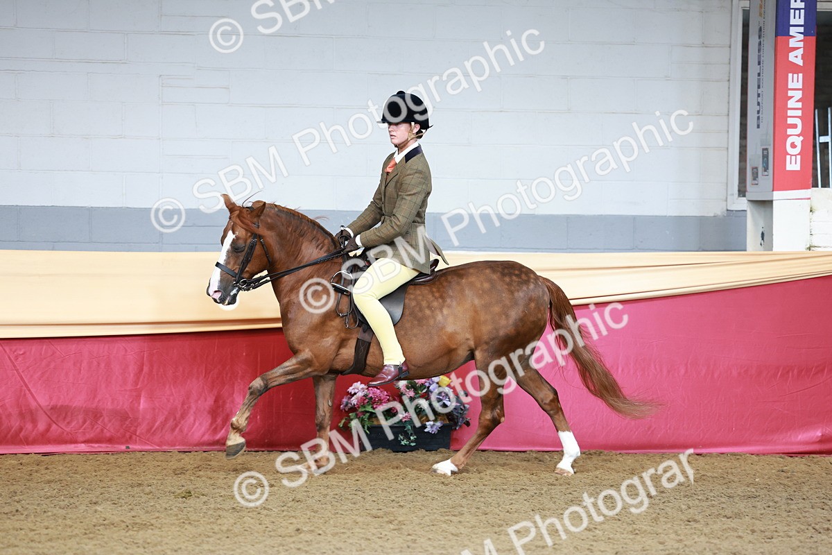 SBM_11911 - Class 102 - Equitation (Best Rider) Adult