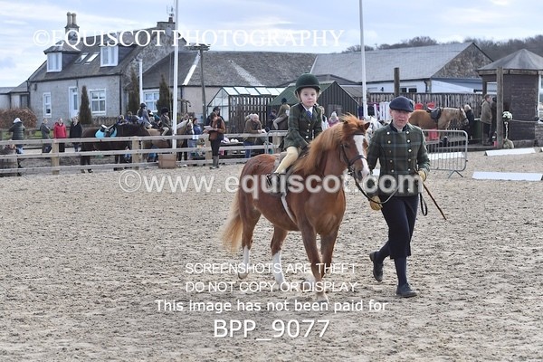 BPP_9077 - RING 2 - M&M