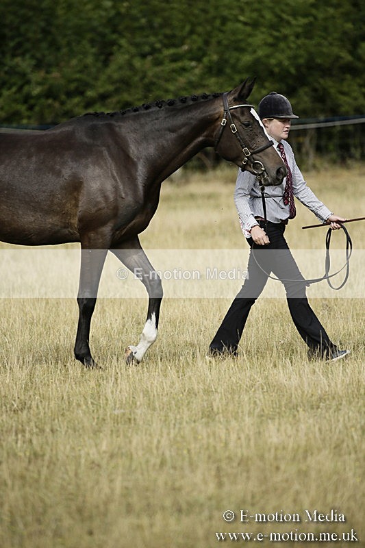 _EP59081 - BVRC Sow 2018 Ring 2