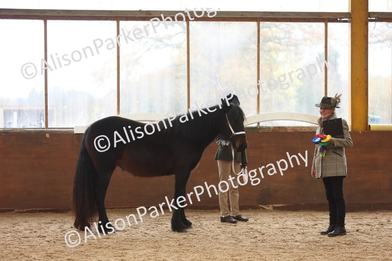 20251109-0917 - Class 26 - 2 and 4 Year Olds