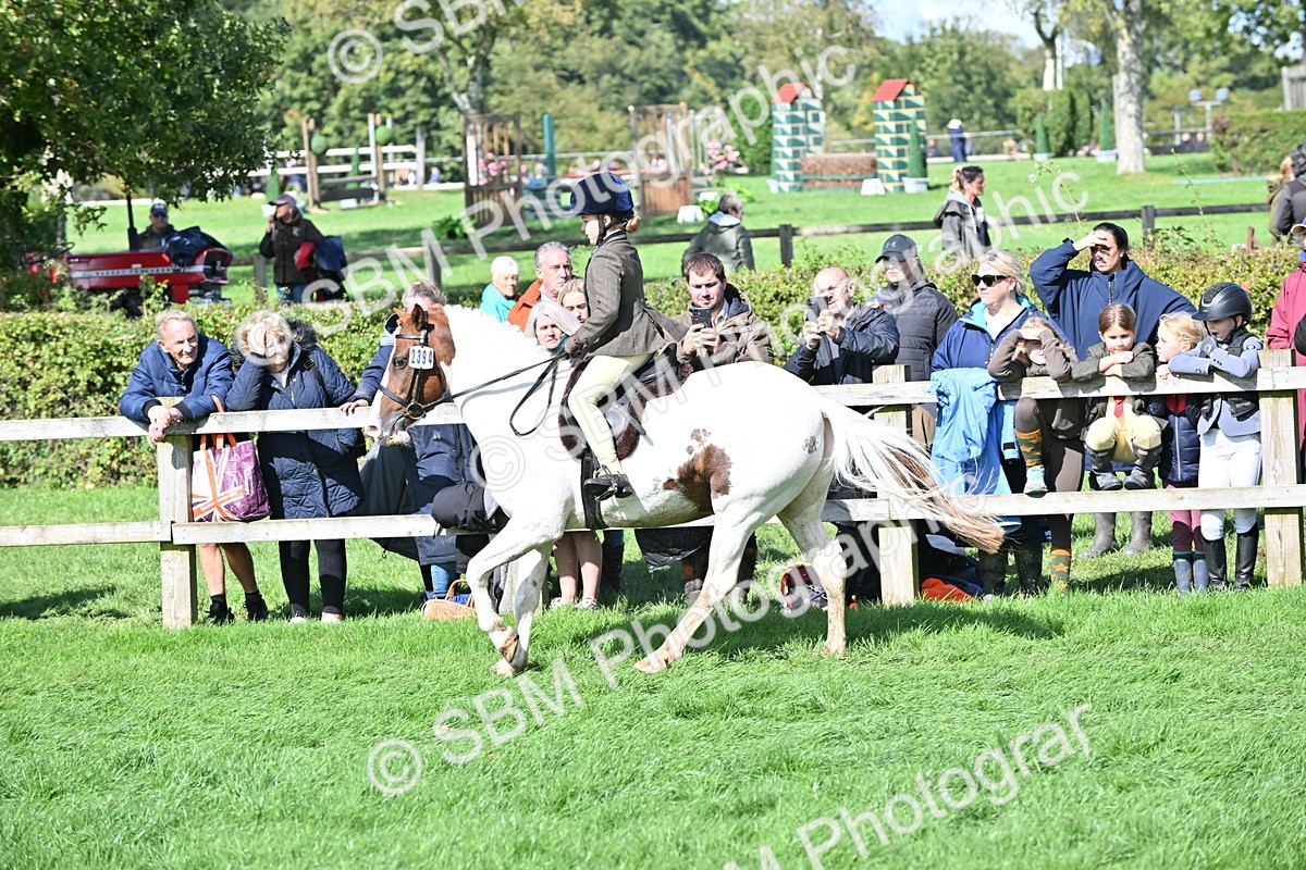 SBM_44569 - S13 - Pony Club Pony