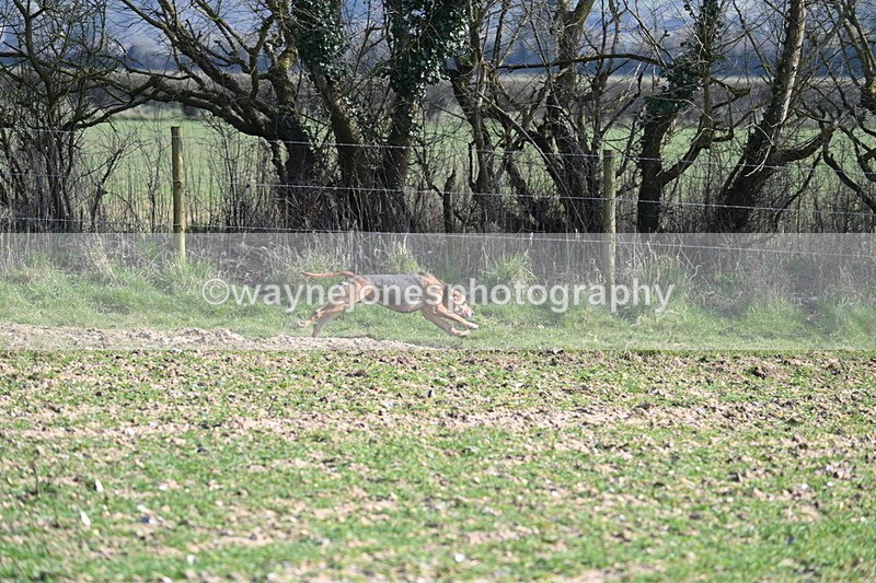 WJ7_5708 - Camera A