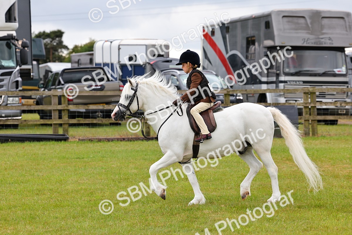 SBM_08684 - Class 42-43 - LIHS BSPS Heritage Working Sports Pony