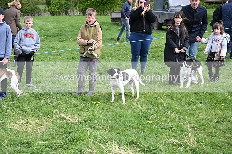 WJ6_8610 - Class 6 Best Rescue