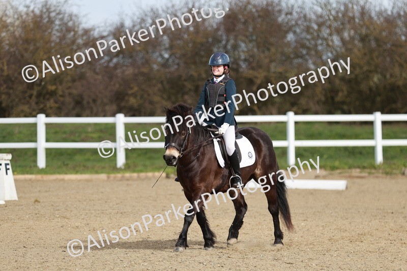 20260314-1074 - DR2 - Intro 3